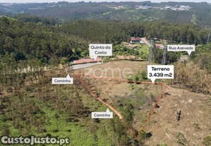 Terreno Florestal Com Capacidade Construtiva -...