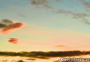 imagem_12