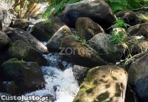 Quinta Junto Ao Rio Seia