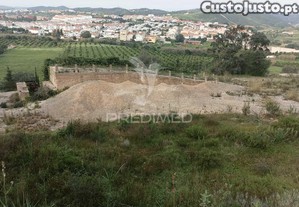 imagem_6