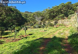 Terreno com 21 500,00 m2 à em caniçal
