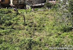 imagem_21