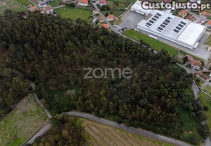 Terreno Santo Tirso
