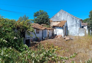 Lote de terreno com ruína - Rio Maior