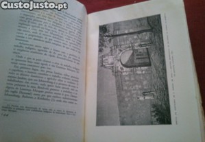 imagem_9