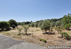 Terreno para construção em Alcoentre de 923,00 m²