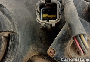 imagem_6