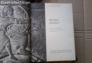 imagem_7