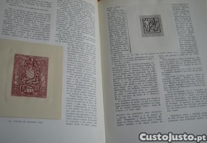 imagem_6