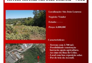 Terreno florestal com 2700 m2 em São João de Lourosa.