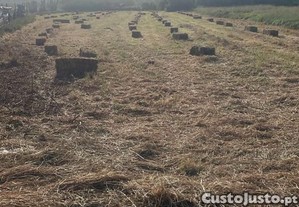 Fardos de feno