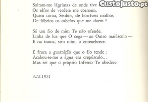 imagem_6