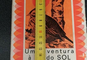 imagem_7