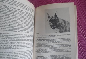 imagem_7