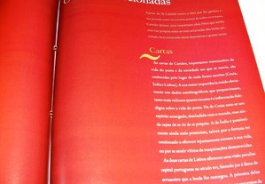 imagem_7