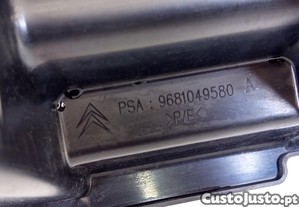 imagem_7