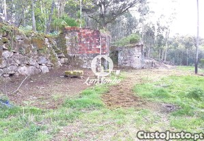 imagem_13
