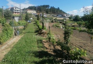 imagem_39