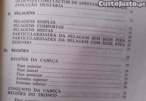 imagem_8