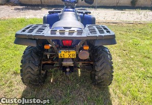 Polaris sportsman 500cc