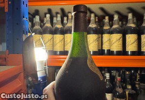 imagem_4