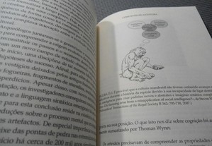 imagem_7