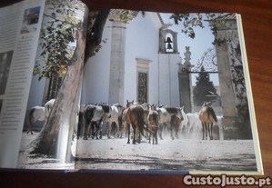 imagem_7