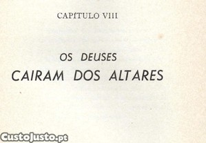 imagem_18