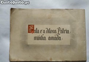 imagem_7