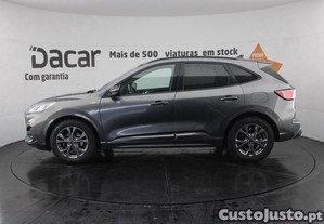 imagem_3