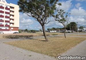 imagem_10