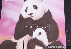 imagem_6