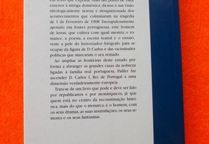 imagem_8