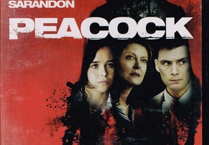 imagem_2