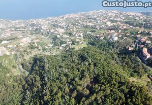 Terreno agrícola - Gaula, Santa Cruz - Ilha da Madeira