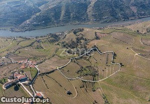 Quinta Na Régua Para Produção Vinícola