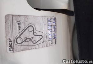 imagem_12