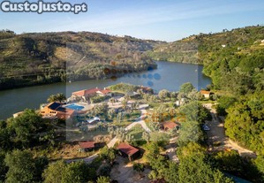imagem_14