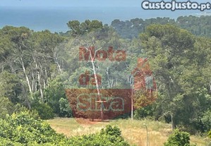 imagem_12