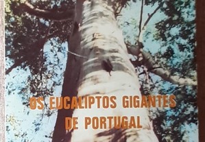 Eucaliptos Gigantes em Portugal Livro Antigo