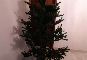 Árvore Pinheiro de Natal Grande