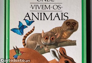 imagem_1
