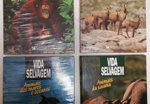 Coleção 4 Livros Vida Selvagem