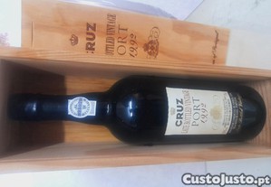 imagem_2