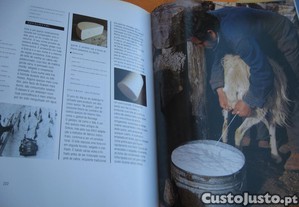 imagem_6