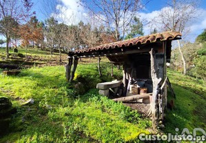imagem_21