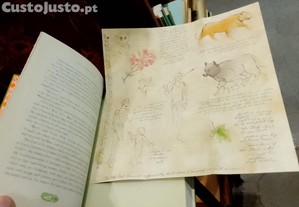 imagem_8