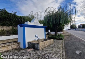 imagem_10