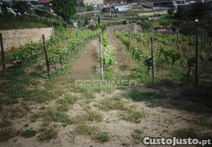 imagem_26