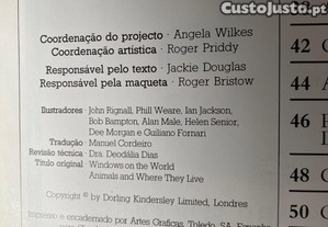 imagem_2